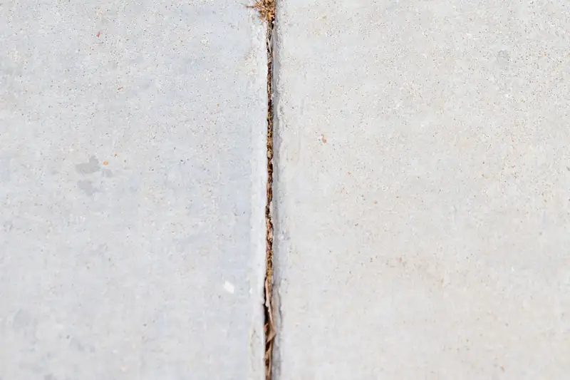 Separated joint between two concrete sidewalk panels with dirt and debris packed into the gap